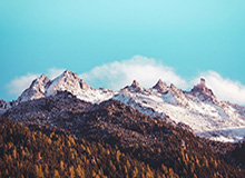 世界杯球队排名-防守效率倒数第二！开拓者主帅：现在评判为时尚早