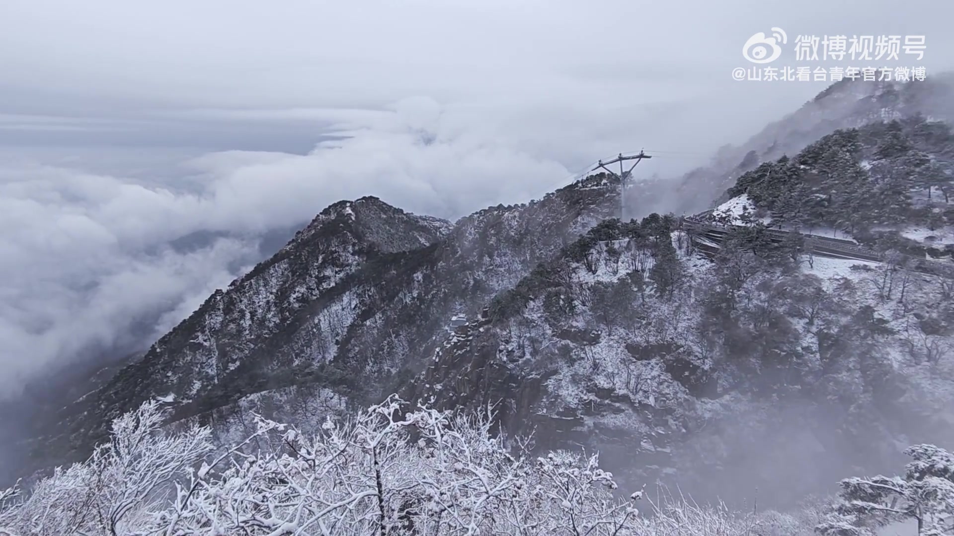 世界杯球队排名-效仿泰山队,泰山队球迷组织连续18年登泰山,山顶体感温度零下
